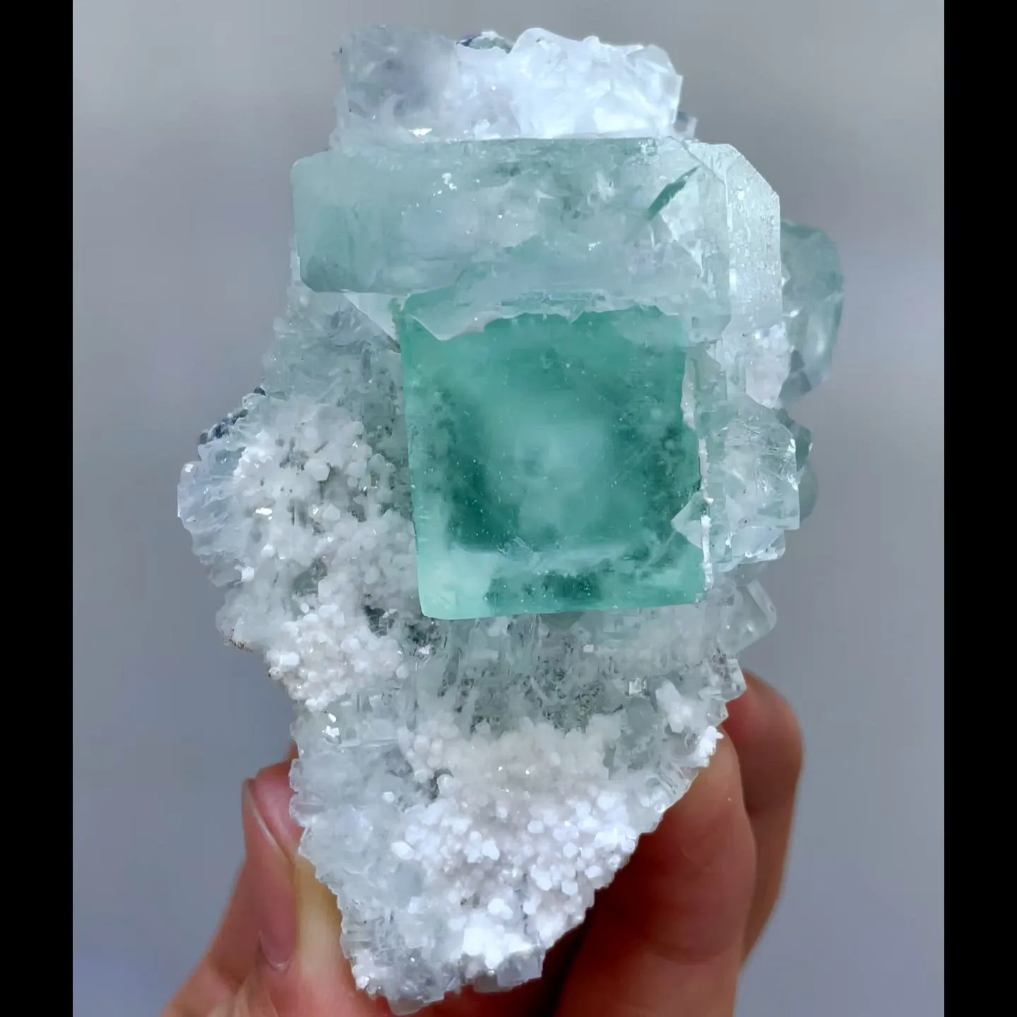 specimen video