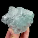 specimen video