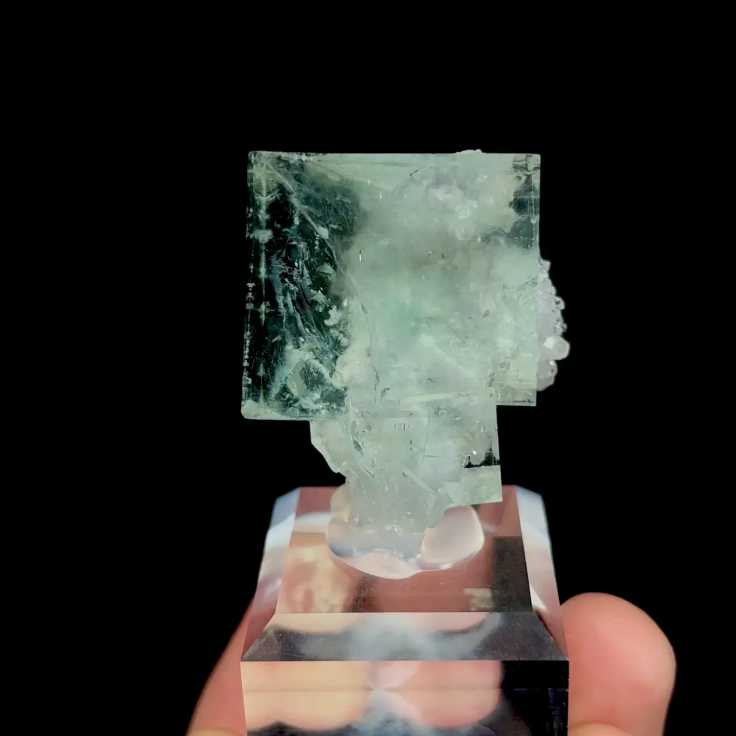 specimen video
