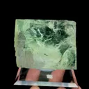 specimen video
