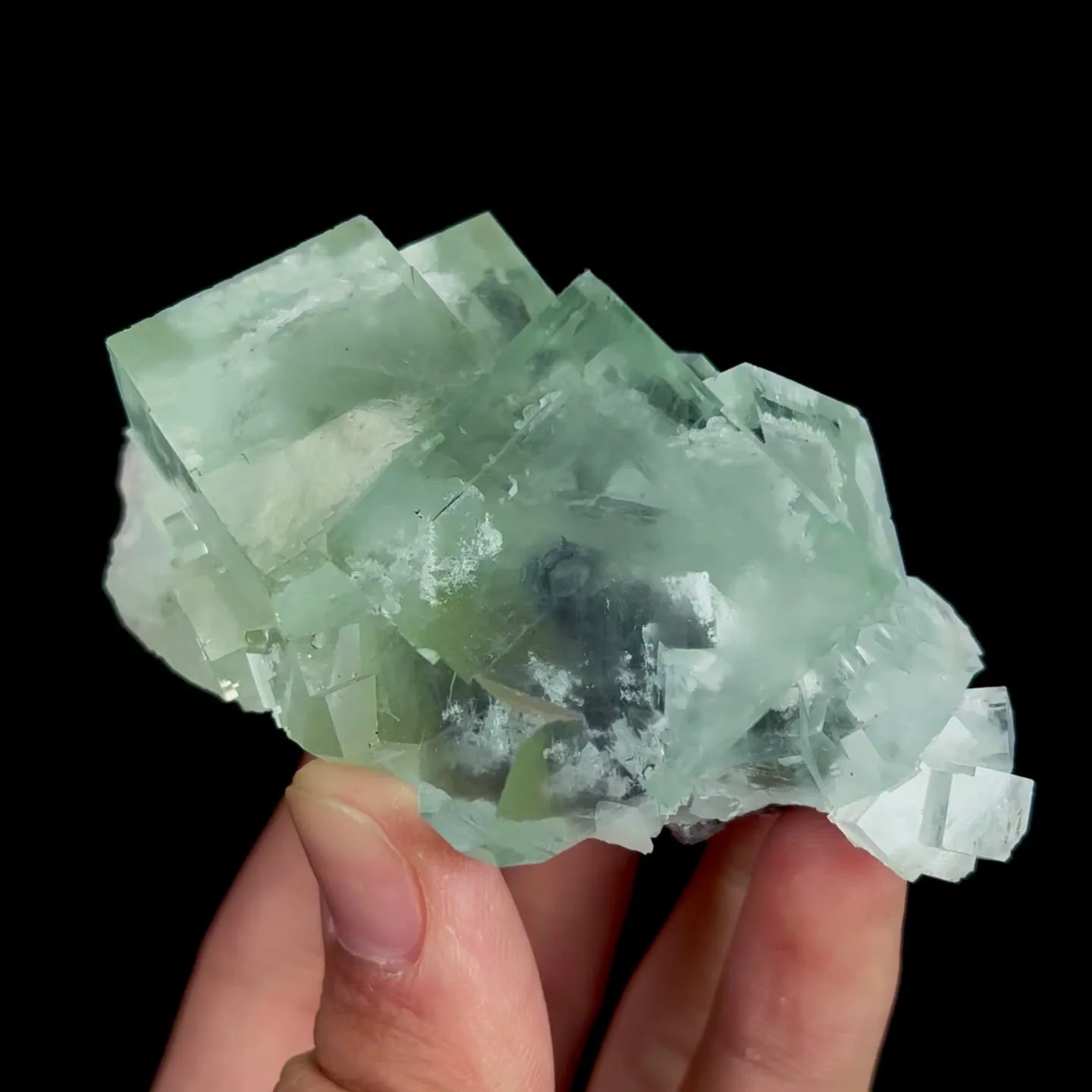 specimen video