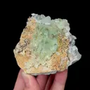 specimen video