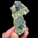specimen video