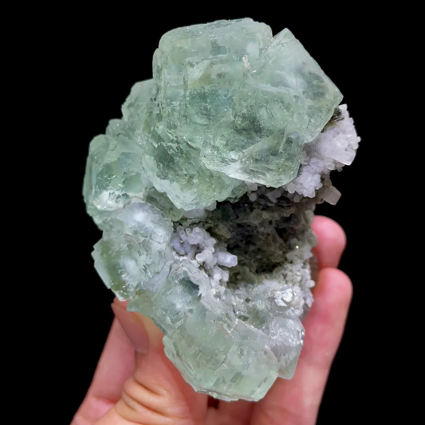 specimen video