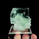 specimen video