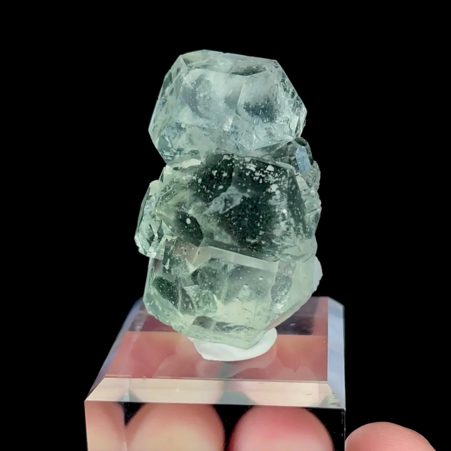 specimen video
