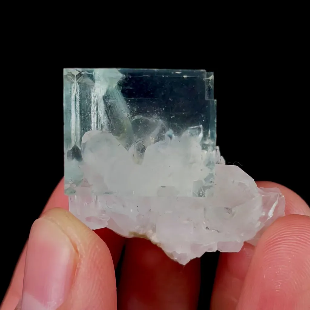 specimen video