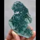 specimen video