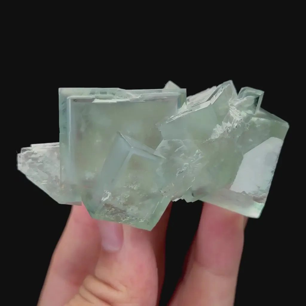 specimen video