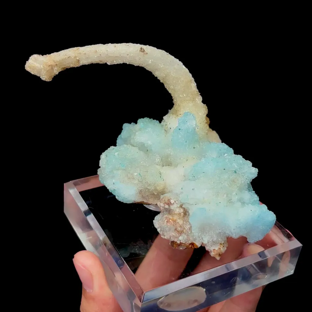 specimen video