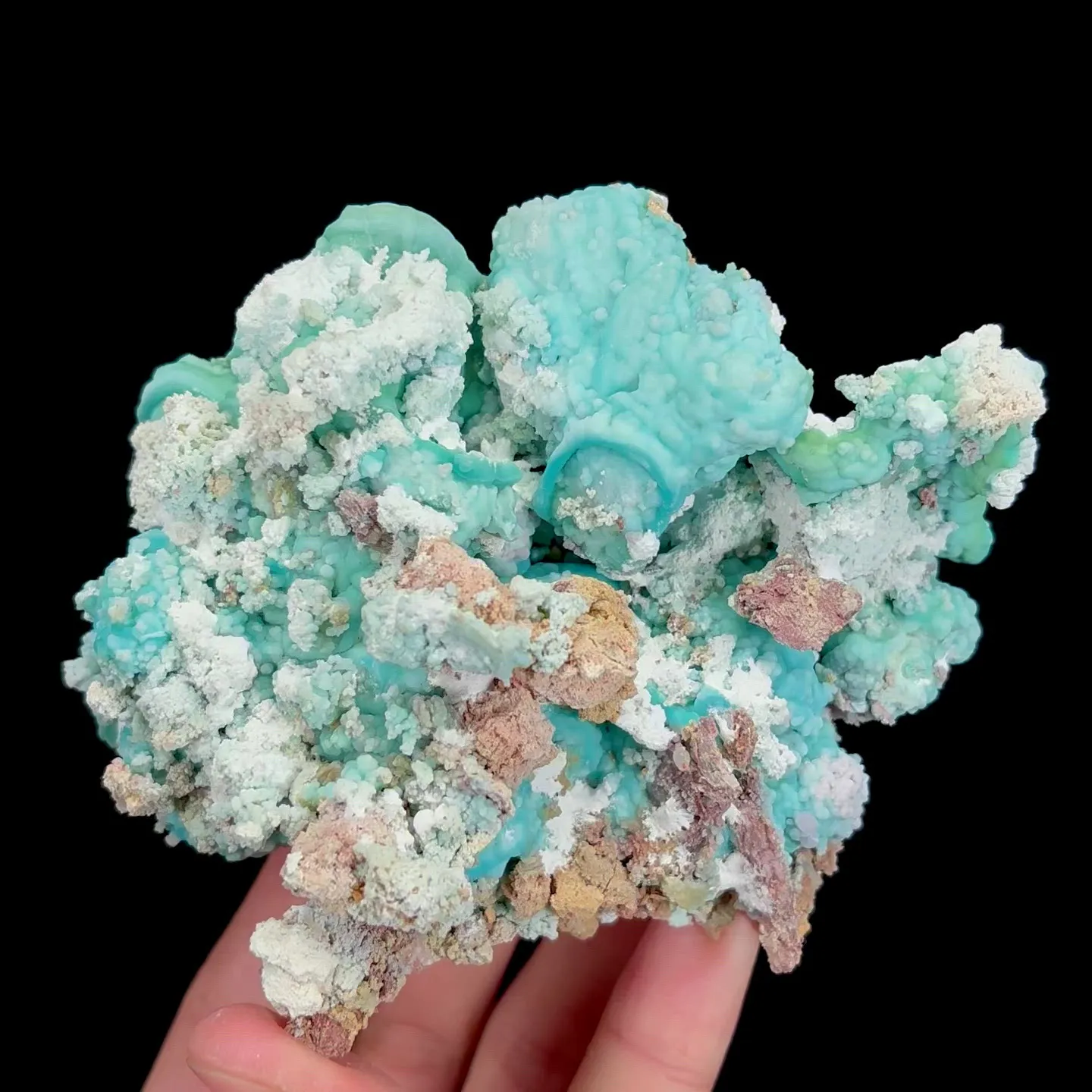 specimen video