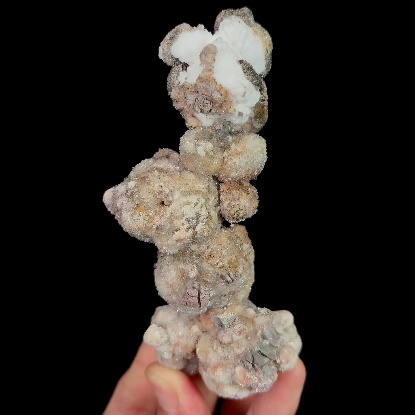 specimen video