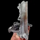 specimen video