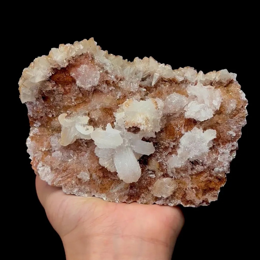 specimen video