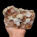 specimen video