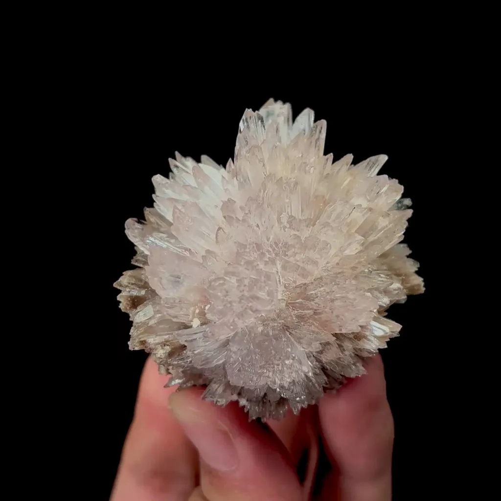 specimen video