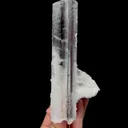 specimen video
