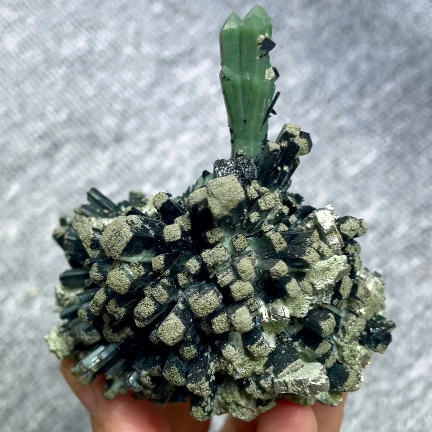 specimen video
