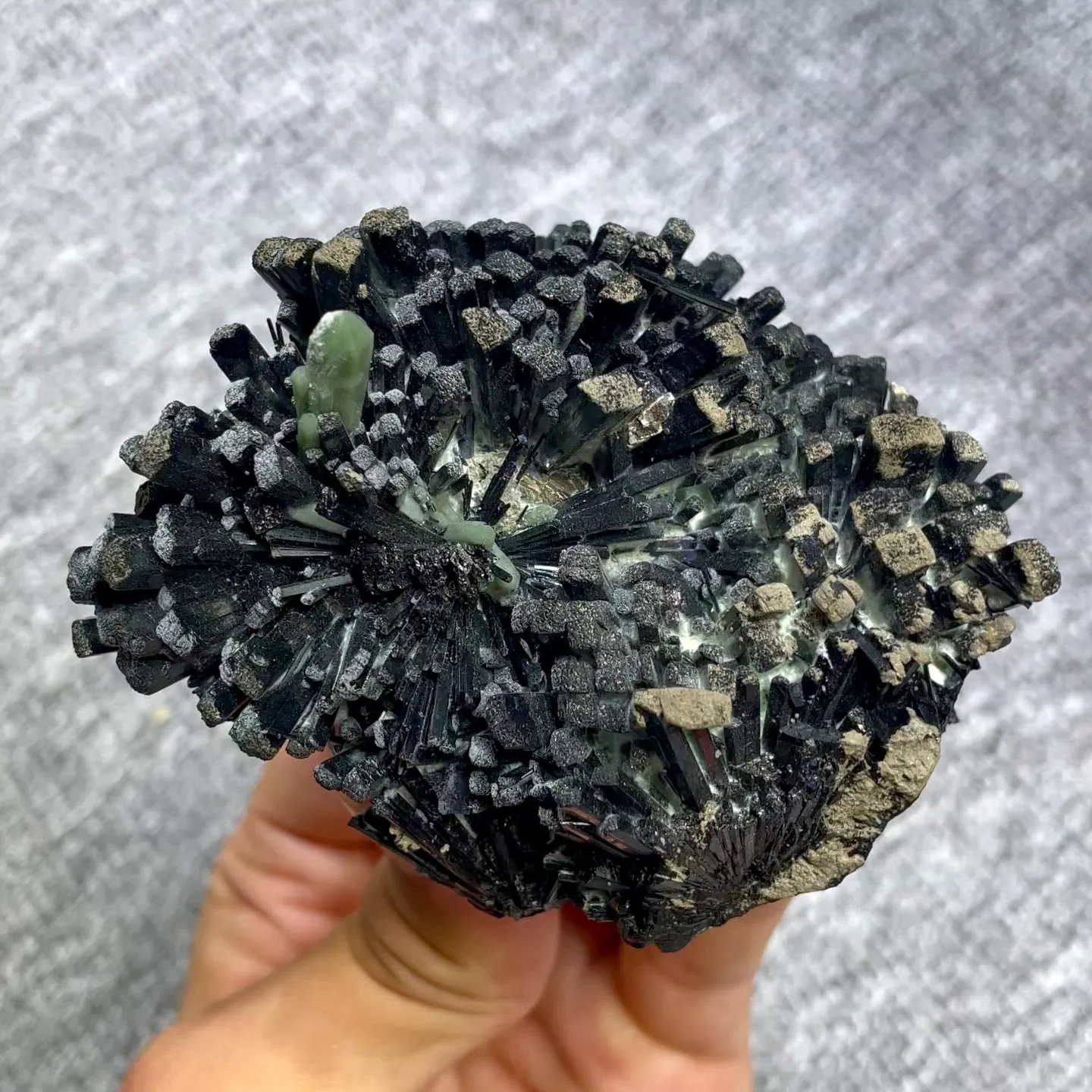 specimen video