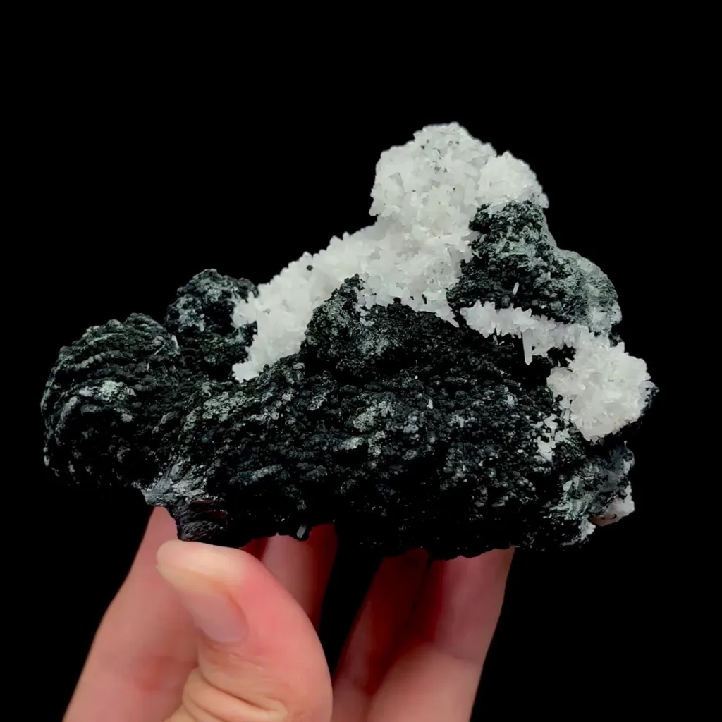 specimen video