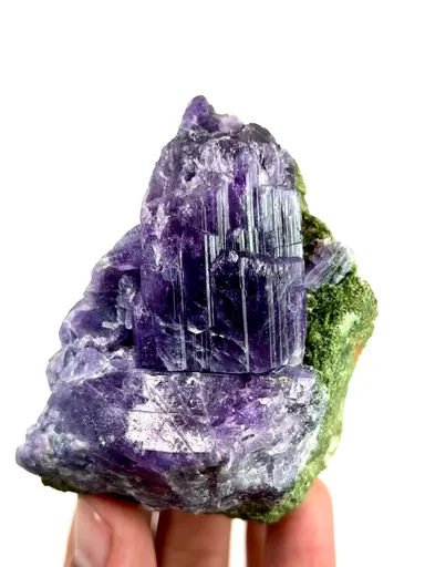 specimen video