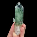 specimen video