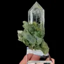 specimen video