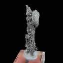 Natural Hopeite and Limonite, Mineral Specimen:Leipingkuang,Chenzhou (15*5*50MM) - image 4