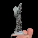 Natural Hopeite and Limonite, Mineral Specimen:Leipingkuang,Chenzhou (15*5*50MM) - image 3