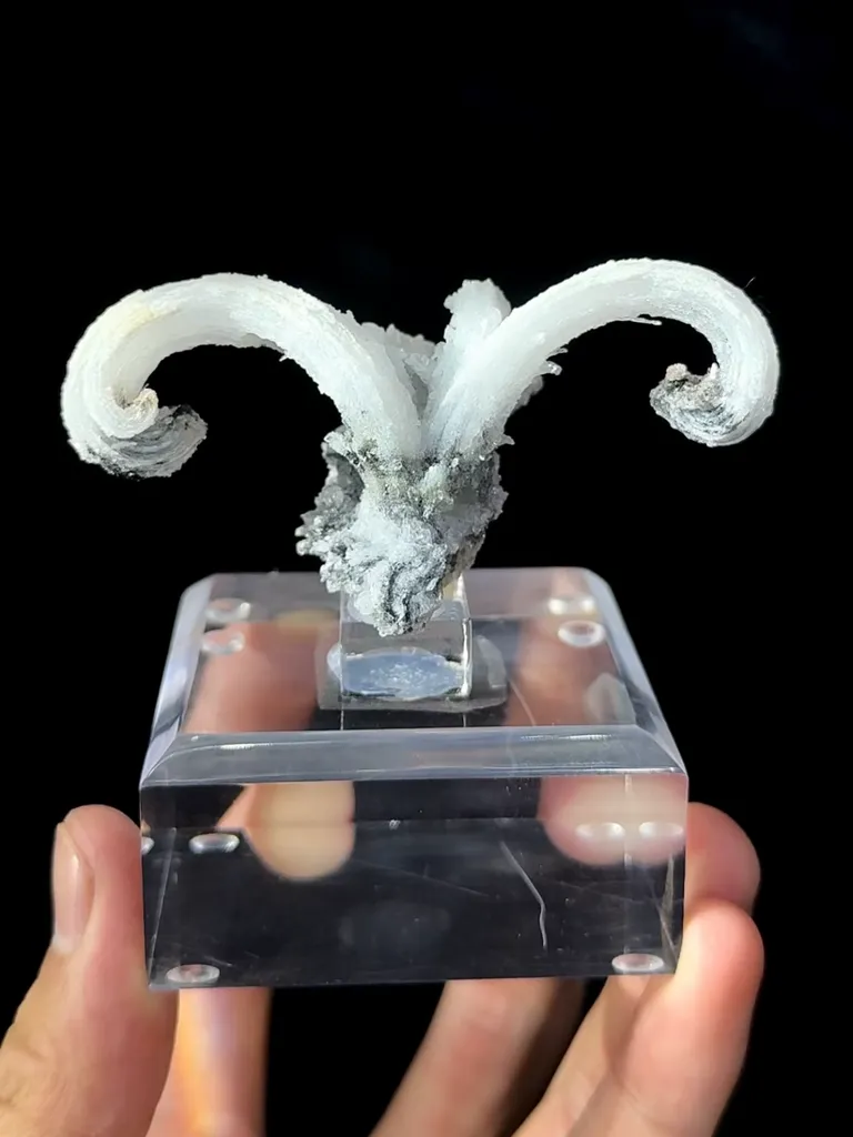 Natural Horn Gypsum comes from Guizhou 80*40*35MM - image 3