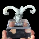 Natural Horn Gypsum comes from Guizhou 80*40*35MM - image 3
