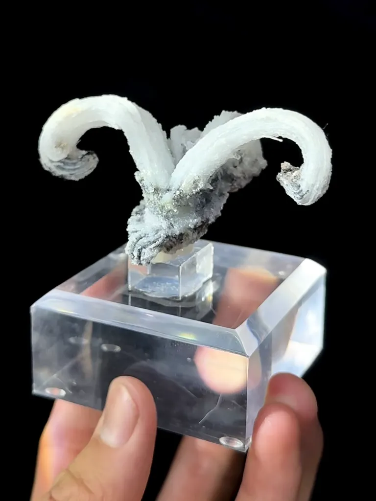 Natural Horn Gypsum comes from Guizhou 80*40*35MM - image 5