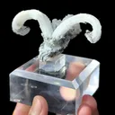 Natural Horn Gypsum comes from Guizhou 80*40*35MM - image 5