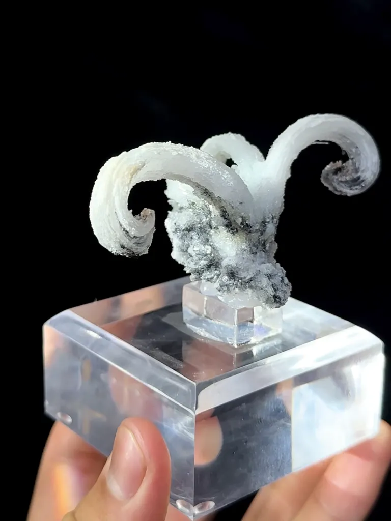 Natural Horn Gypsum comes from Guizhou 80*40*35MM - image 7