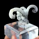 Natural Horn Gypsum comes from Guizhou 80*40*35MM - image 7