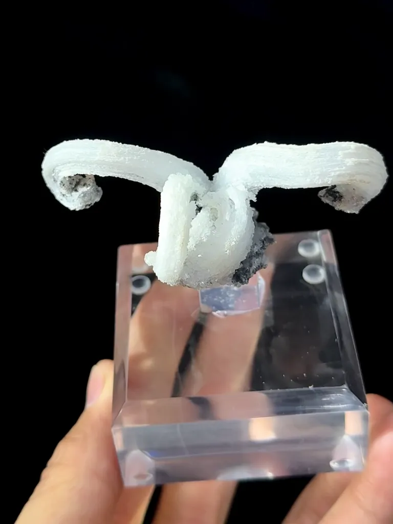 Natural Horn Gypsum comes from Guizhou 80*40*35MM - image 2