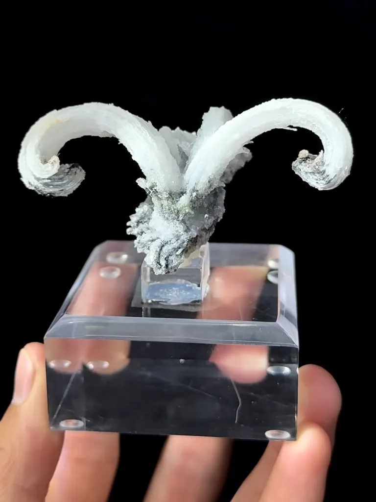 Natural Horn Gypsum comes from Guizhou 80*40*35MM image