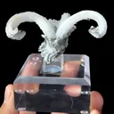 Natural Horn Gypsum comes from Guizhou 80*40*35MM - image 1