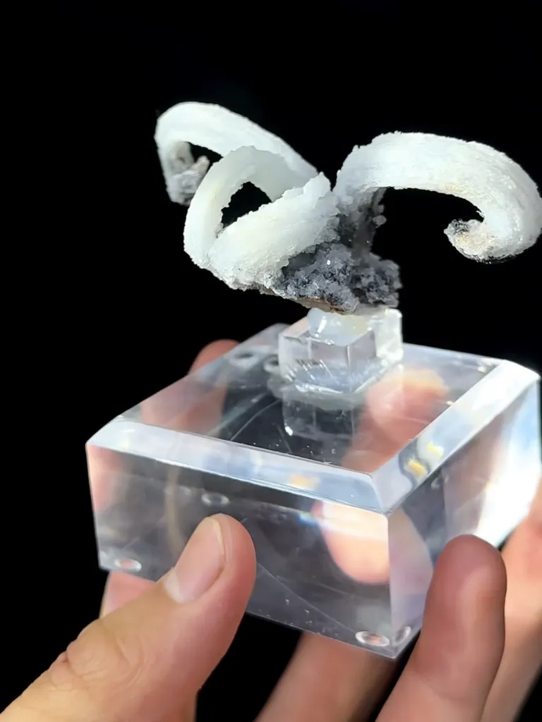Natural Horn Gypsum comes from Guizhou 80*40*35MM - image 6