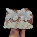Natural Horn Gypsum Mineral Specimen,High Quality Specimen,GUIZHOU,CHINA(111*85*62mm) - image 6