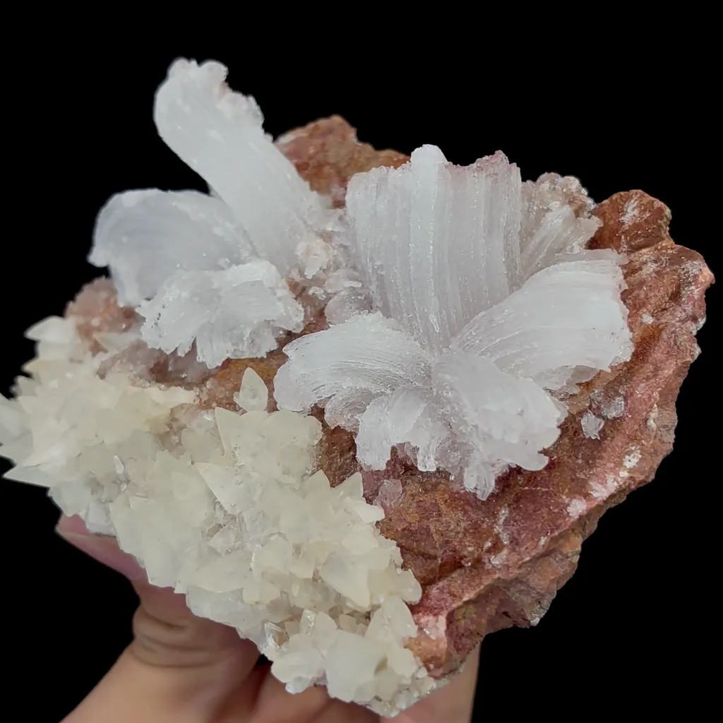 Natural Horn Gypsum Mineral Specimen,High Quality Specimen,GUIZHOU,CHINA(111*85*62mm) - image 7