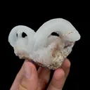 Natural Horn Gypsum Mineral Specimen,High Quality Specimen,GUIZHOU,CHINA(80*46*45mm) - image 4