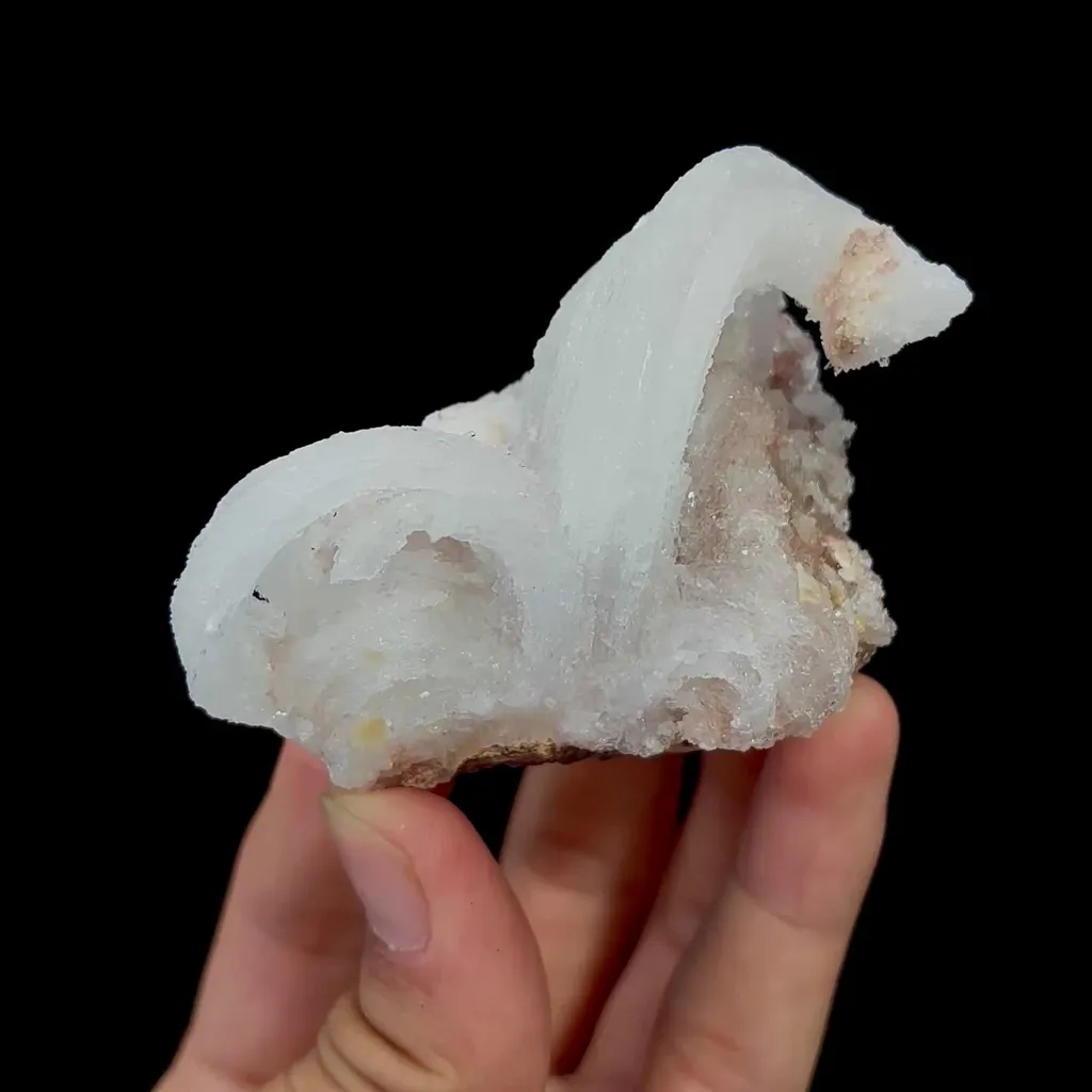 specimen video