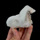 specimen video
