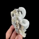 Natural Hornstone Gypsum, Mineral Specimen:Guizhou,China (50*155*55MM) - image 4