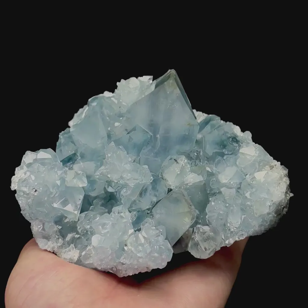 specimen video