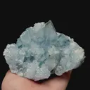 specimen video