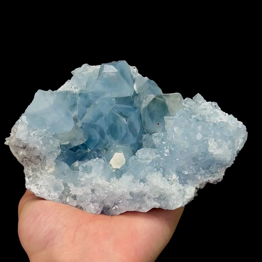 specimen video