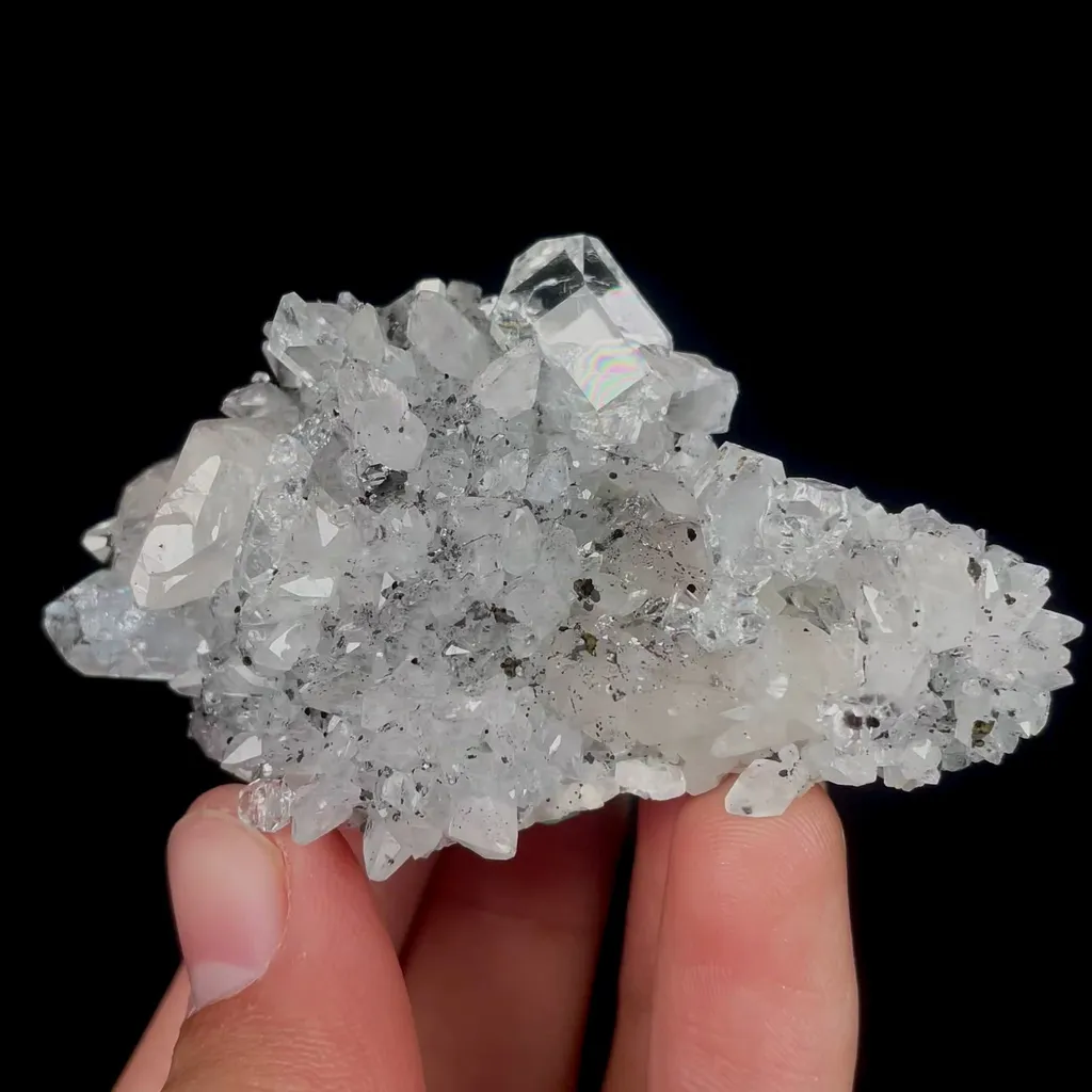 specimen video