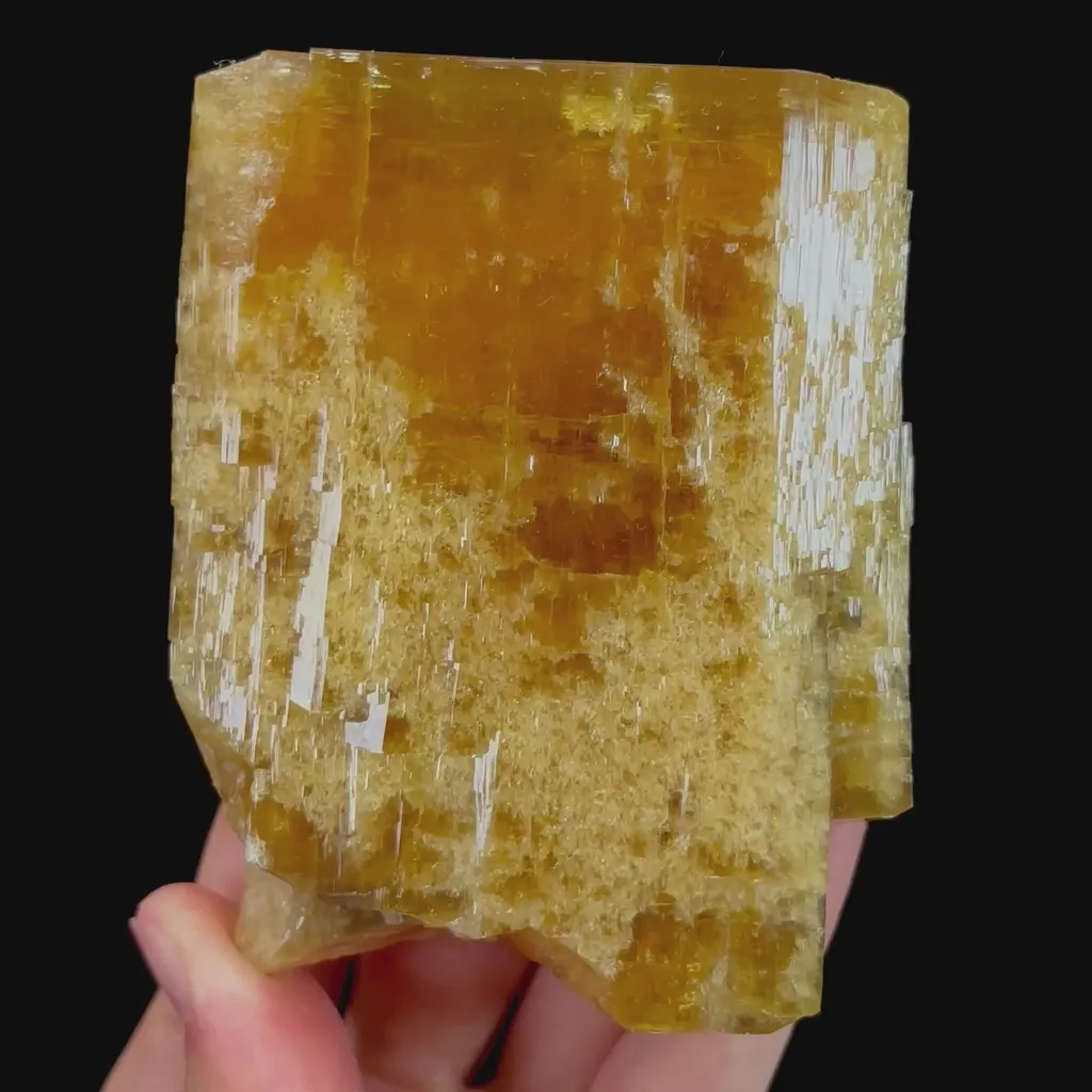 specimen video